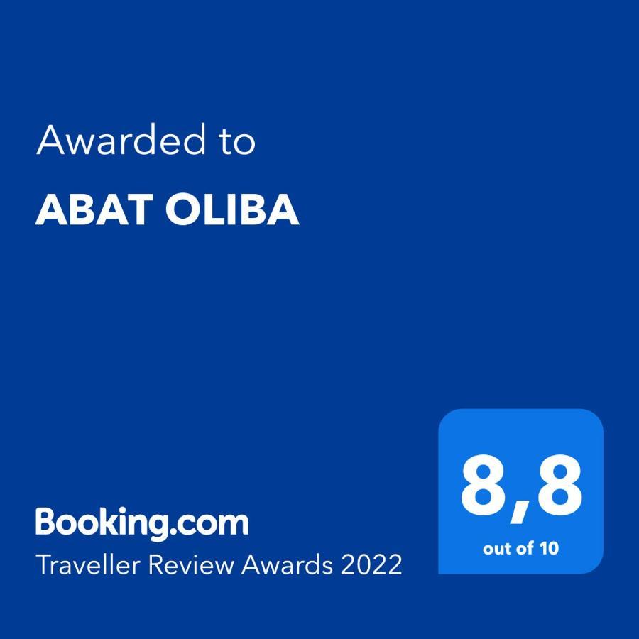 Abat Oliba Apartment Puigcerda Ngoại thất bức ảnh
